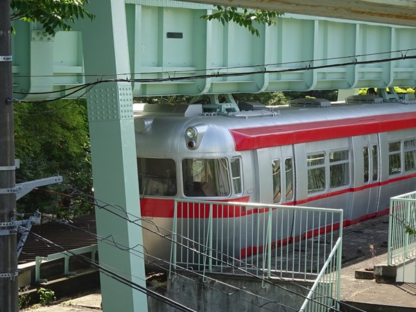 思い出の写真